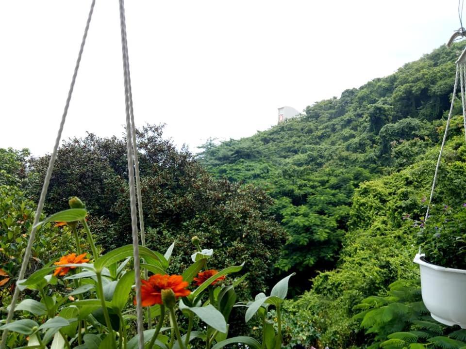 Lam Son Hotel & Apartments Vũng Tàu Exteriér fotografie